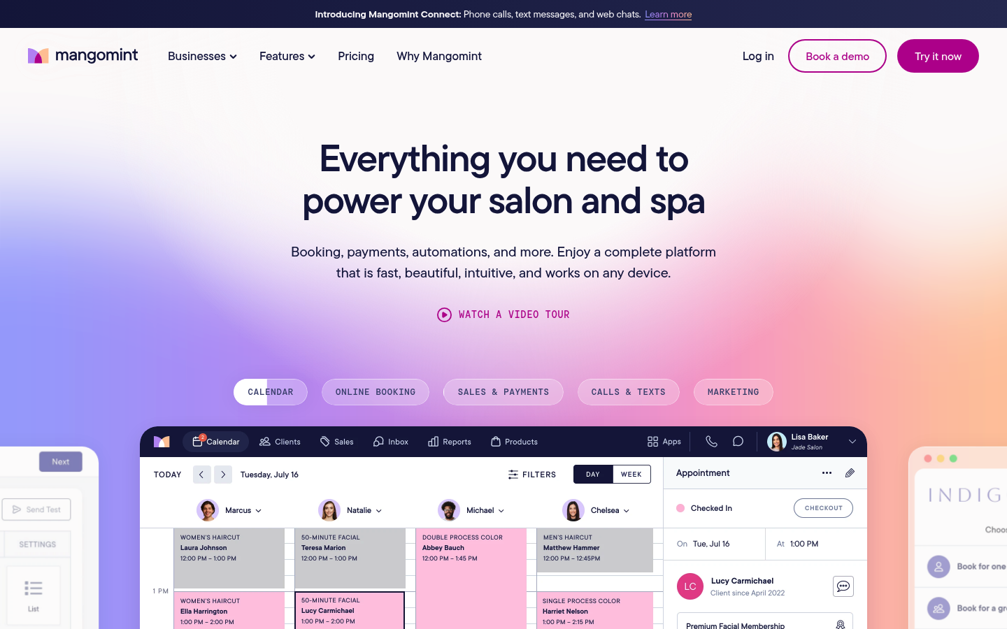 Mangomint homepage screenshot